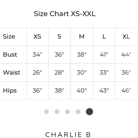 NWT CHARLIE B Sleevesless V-Neck Eyelet Long Navy Midi Tiered Dress S - Picture 5 of 8